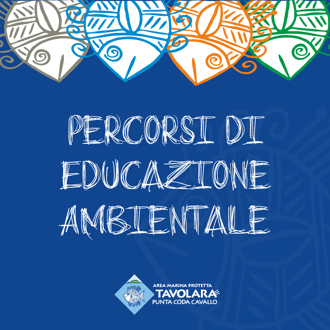 Anteprima del progetto AMP Tavolara