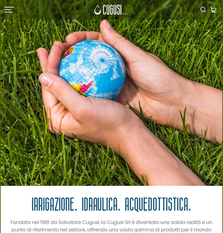 Anteprima del progetto Cugusi